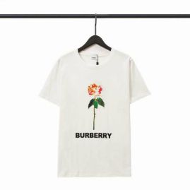 Picture of Burberry T Shirts Short _SKUBurberrys-3xl510833247